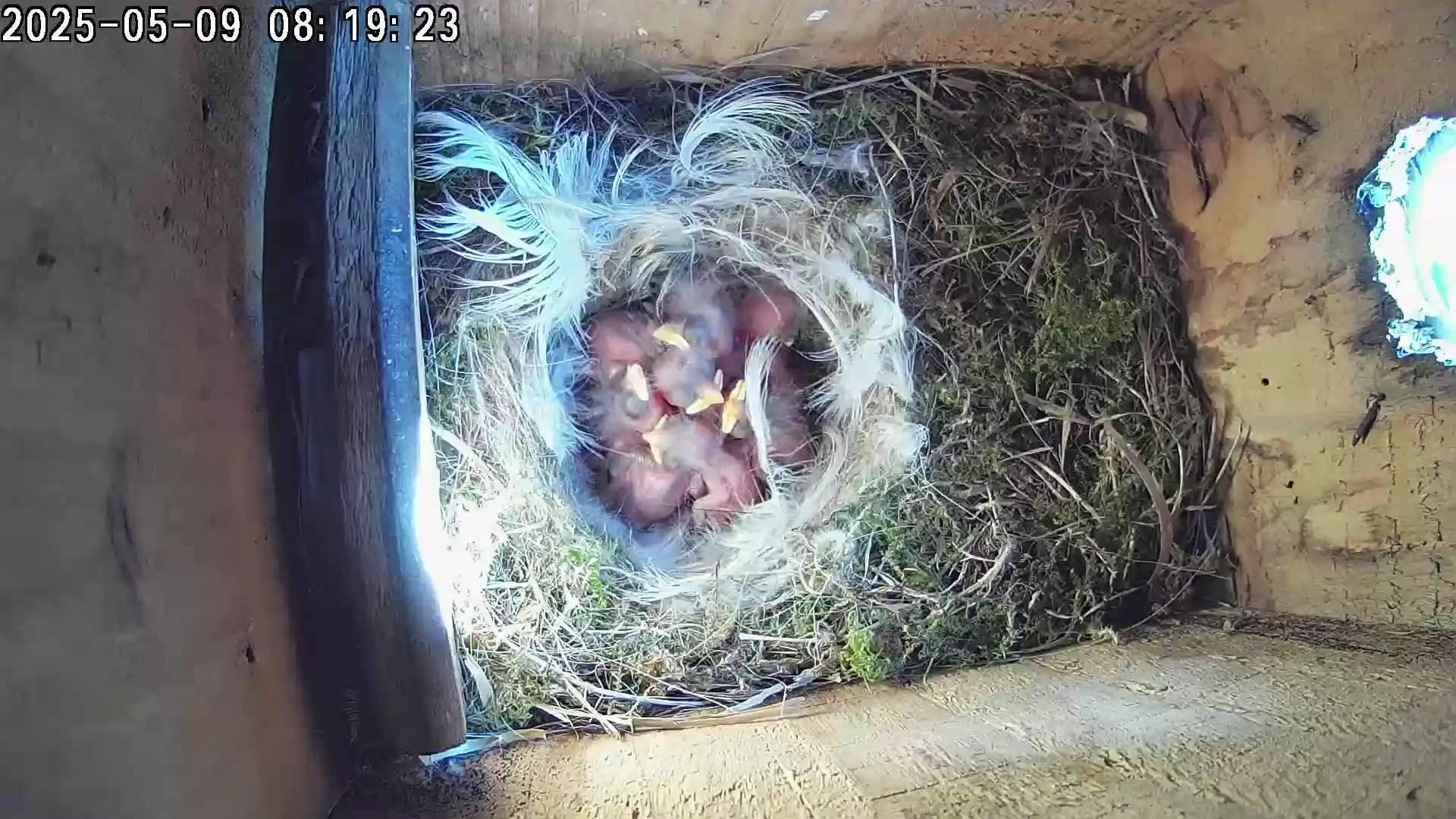 Food time