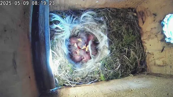 Food time