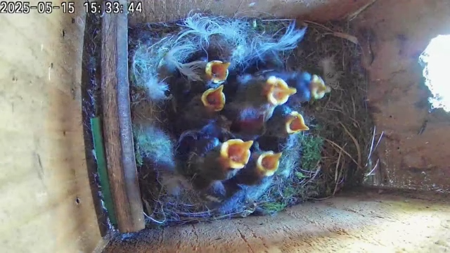 Lots of activity