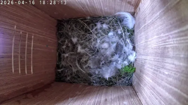 Egg-citing News!