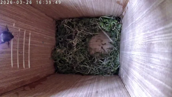 That's not Cleo 😲